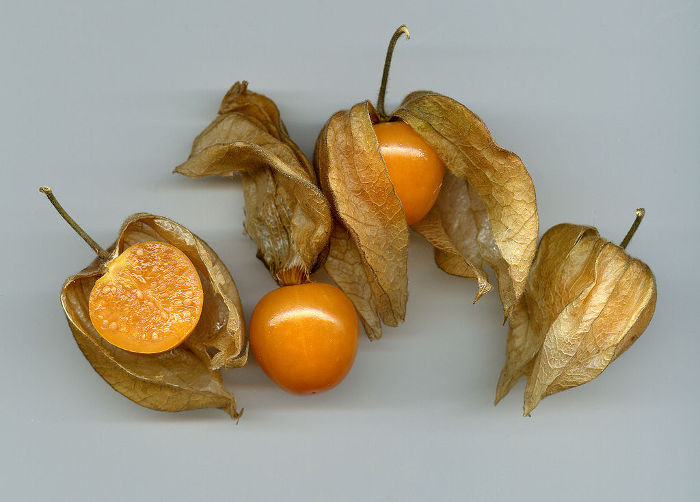 physalis