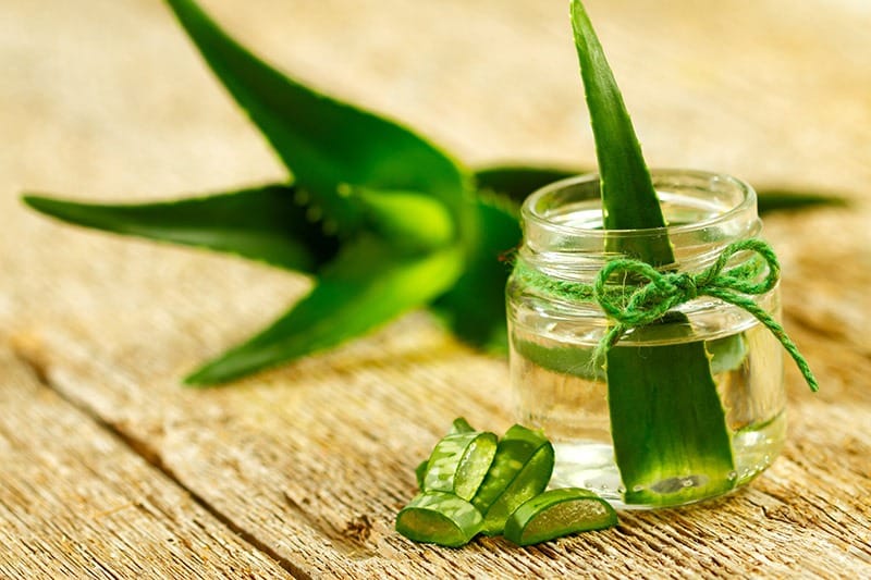 Šťáva z Aloe vera a její účinky na hubnutí, recept