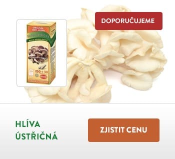 https://www.bezhladoveni.cz/wp-content/uploads/2016/11/hliva-ustricna.jpg