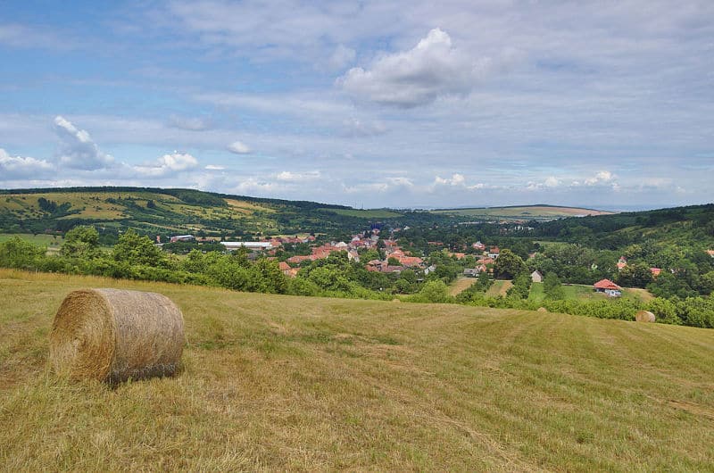 Velká nad Veličkou