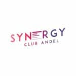 Synergy Club