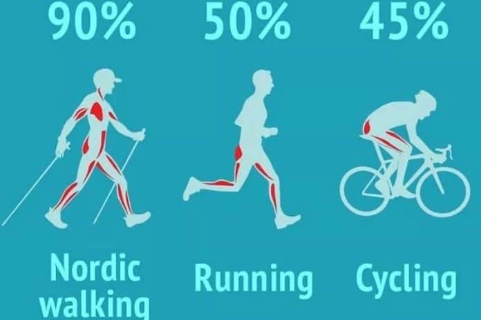 zapojení svalů při Nordic Walking