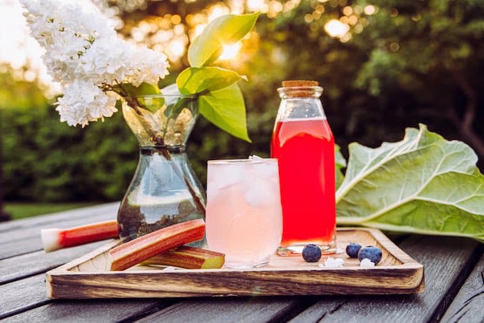 rhubarb drink