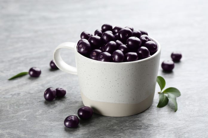 acai berry a zdraví