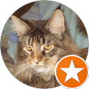 Dagen profile picture