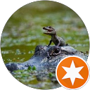 Eva P. profile picture