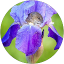 Jana K. profile picture